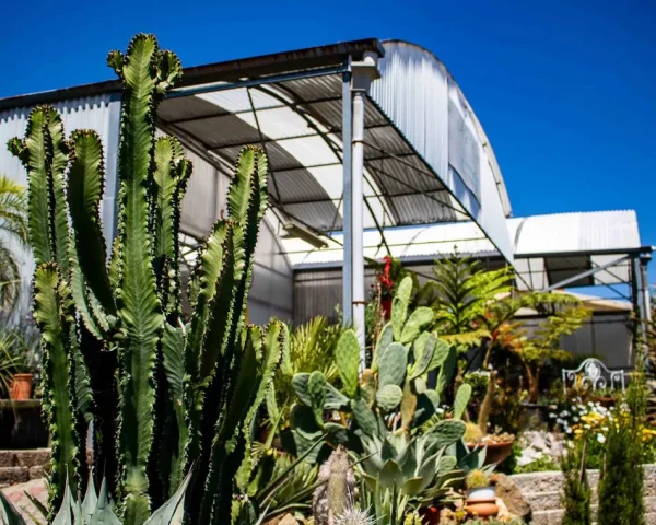 Espaço exterior Pavijardim